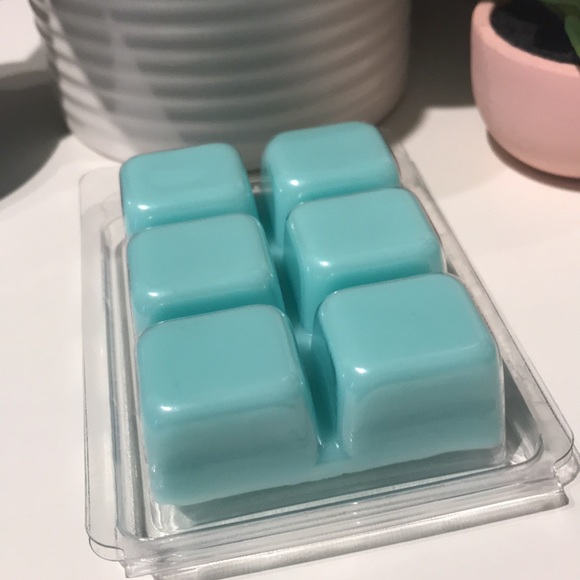 Cinnamon Rolls Wax Melt Tart Warmers Aqua Qty 1 Hand Crafted Final Sale - Picture 2 of 5